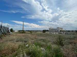 Захранвани от изкуствен интелект божури цъфтят на състезанието за създатели в Луоянг