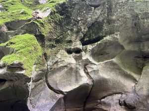 Целта за растеж на БВП за 2026-2030 г. отразява стремежа към висококачествено развитие: официално