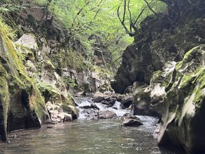 PLA практикува превземане на ключови пристанища по време на учения във води на изток от Тайван