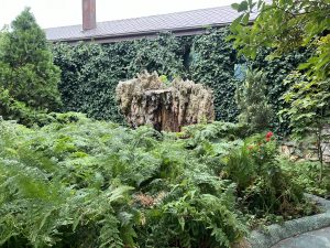 Случаите на грип нарастват, но не е открит нов или неизвестен щам