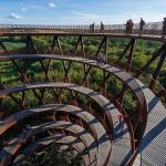 The Best Treetop Walks In The World