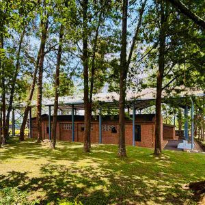 Meituan отчита ръст на приходите и печалбите, намалява наполовина загубите поради нови инициативи · TechNode