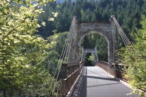 Tesla е изпреварена от BYD в глобалните продажби на EV през 2025 г