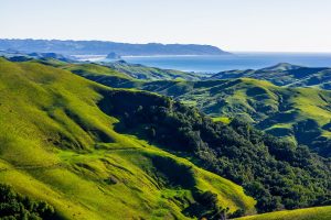 Национална конференция по четене се открива в Нанчанг