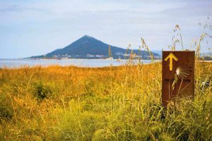 The Coastal vs Central Route of the Portuguese Camino
