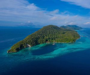 Интернет съдът в Пекин подчертава необходимостта от по-силен надзор в онлайн секторите на храните и лекарствата