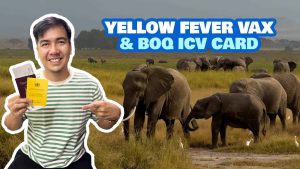 Кук подчертава важността на Китай в Чънду