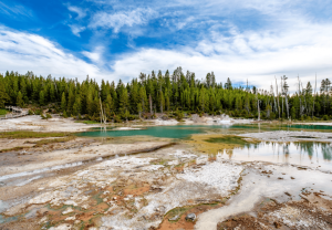 Best Economical National Forest Stays for Summertime Enjoyable