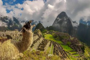 How Does the American Express Platinum Card $200 Annual Travel Credit Work?