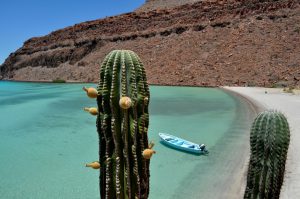 Checking Out Baja California with Children