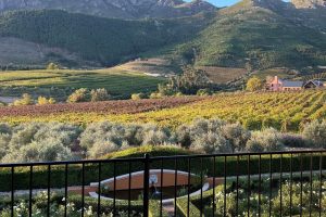 Taking Pleasure In the Royal Treatment in South Africa