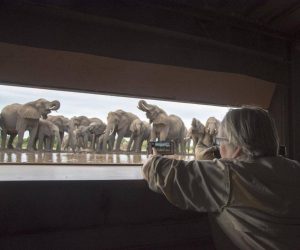 Africa’s fantastic photo hides and hotspots