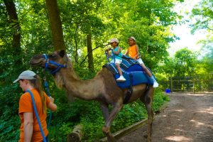 Things to do in Grand Rapids with kids