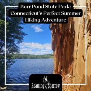 Burr Pond State Park: Connecticut’s Perfect Summer season Treking Adventure