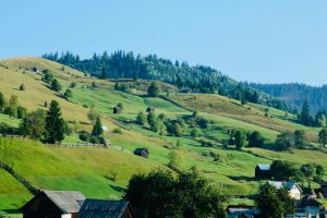 Unplug & Rewild: How Regenerative‑Farm Gets Away Are the Wellness Trips You have actually Been Craving