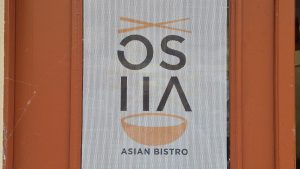 Osha in Ljubljana – Dr Jam Journeys