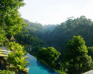 Where to Stay in Ubud, Bali: BEST Areas for All Budgets