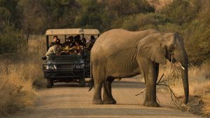 Hottest Places in South Africa During Winter