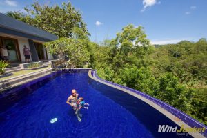 Living in Bali as a Digital Nomad and Using it as a Base to Work Remotely