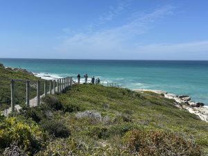 Morukuru De Hoop: The Perfect Family Lodge on South Africa’s Whale Coast– Wild Junket