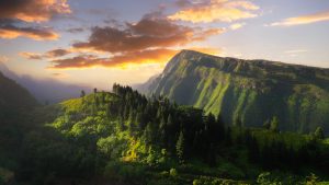 Петролният буфер на нацията предпазва енергийните доставки