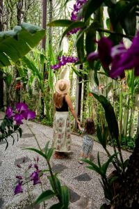 Anantara Angkor Resort Evaluation: Family-Friendly Luxury at the Forehead of Cambodia