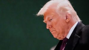 Находката на китайски фосили осветява най-ранното масово измиране на Земята